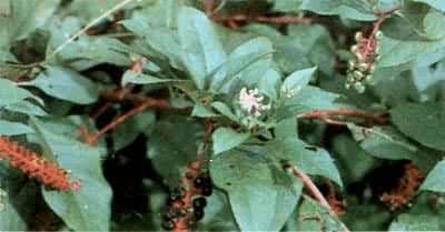 ��½����½��