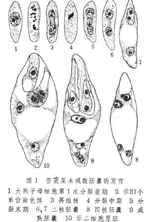 ͼ1