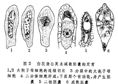 ͼ2