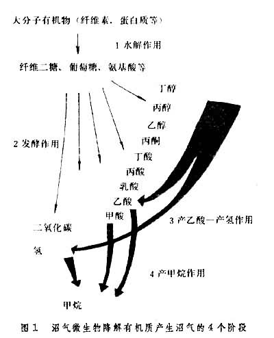 ͼ1
