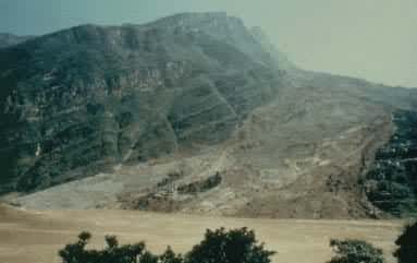 ����ǰȫò(��) ���º���(��)