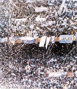 1978�����籭����������͢��ʤ�����Ӻ���ڻ����ĳ���
