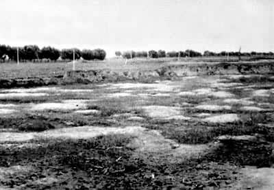 ͼ3����ɰðˮ�ľ�