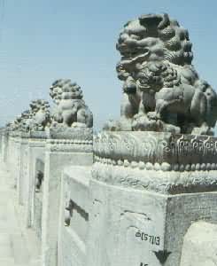 ¬����������ʯʨ��ϸ����