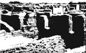 Ħ���������޳���ַ