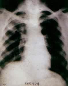 �����Էν��