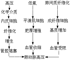 ��ʽ ����