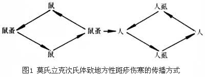 ͼ1