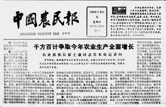 ���й�ũ�񱨡�������