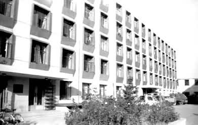 �й������������й������ͯ���������ڵ�