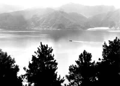 ǧ�������