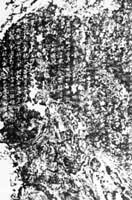 ��گ�»������ִ����ϴ���