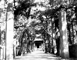 ɽ������������������