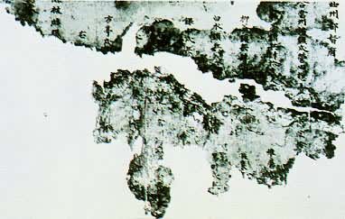 ���ݶ�������������