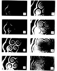 ͼ2����������������˹����Ӧ